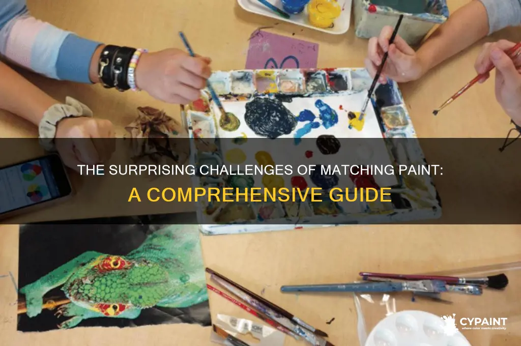 how hard is it to match paint