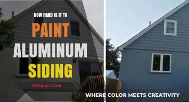 Painting Aluminum Siding: Challenges, Tips, and Techniques for Success