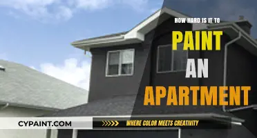 Painting Your Apartment: Challenges, Tips, and Time-Saving Tricks Revealed
