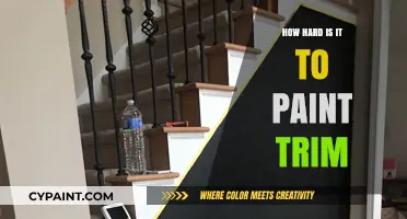 Mastering Trim Painting: Challenges, Techniques, and Tips for Perfection