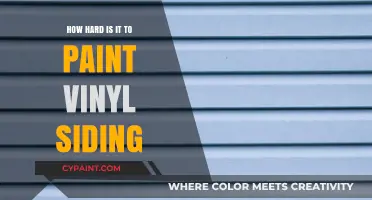 Painting Vinyl Siding: Challenges, Tips, and Expert Advice for Success