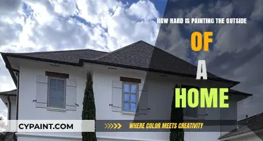 The Challenge of Painting Your Home's Exterior