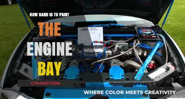 Painting Your Engine Bay: Challenges and Tips for a Professional Finish