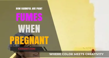 Pregnancy and Paint Fumes: Understanding the Risks and Safety Measures