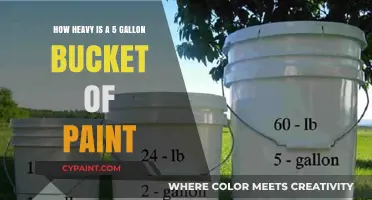 Paint Bucket Weight: How Heavy Is It?