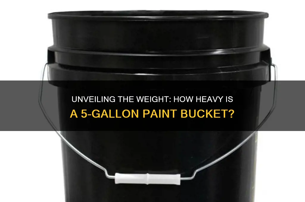 how heavy is a 5 gallon paint bucket