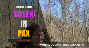 Exploring Paint Creek's Current Water Levels in Pax, West Virginia