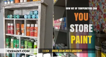 Optimal Storage: Unveiling the Temperature Secrets for Paint Longevity