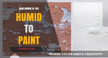 Painting in Humidity: When Moisture Levels Ruin Your Project