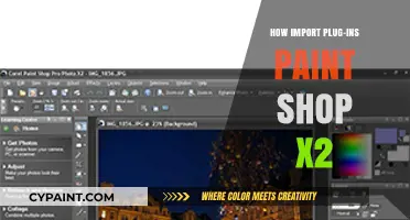 Mastering PaintShop Pro X2: Essential Plug-Ins for Enhanced Editing
