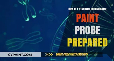 Preparing Standard Chromosome Paint Probes: A Step-by-Step Guide