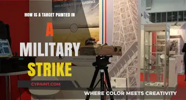 Precision Strikes: Painting Targets for Military Operations