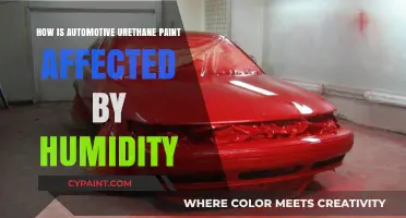 Humidity's Impact on Automotive Urethane Paint: What You Need to Know
