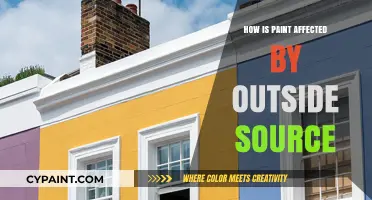 External Factors Impacting Paint Durability and Appearance: A Comprehensive Guide