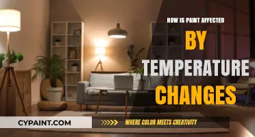 Temperature's Impact: How Paint Behaves in Heat and Cold