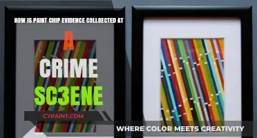 Collecting Paint Chip Evidence: Crime Scene Techniques and Best Practices