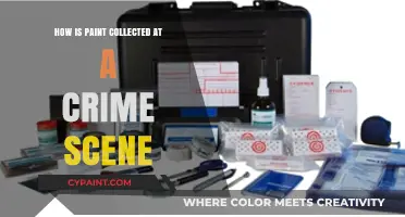 Crime Scene Paint Collection: Techniques for Preserving Crucial Evidence