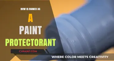 Rainex Review: Effective Paint Protection or Overhyped Car Care Product?