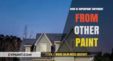 SuperPaint vs. Regular Paint: Key Differences and Unique Benefits Explained