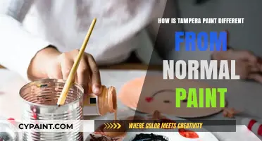 Tampera Paint vs. Regular Paint: Key Differences Explained