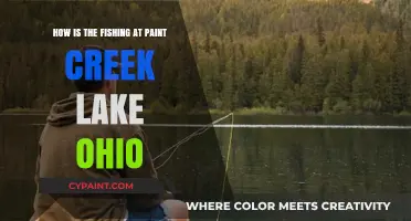 Fishing at Paint Creek Lake, Ohio: A Guide