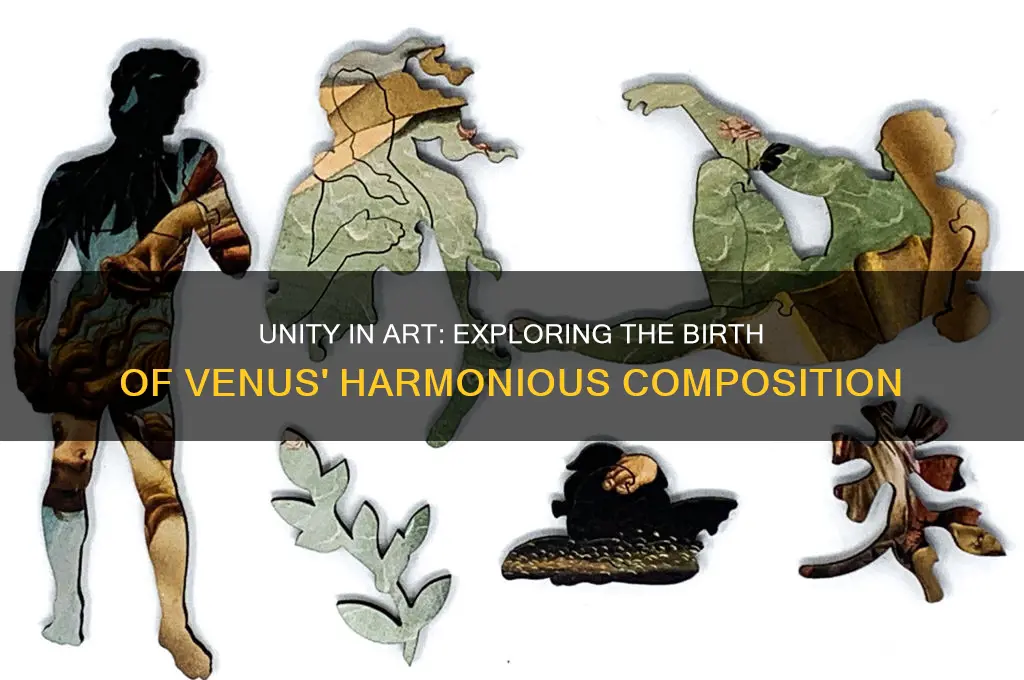 how is unity utilized in the birth of venus painting