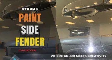 How Much Does It Cost to Paint a Side Fender?