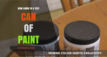 Exploring Paint Sample Sizes: A Comprehensive Guide