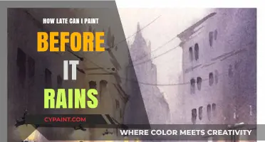 Racing the Rain: The Painter's Guide to Weathering the Storm