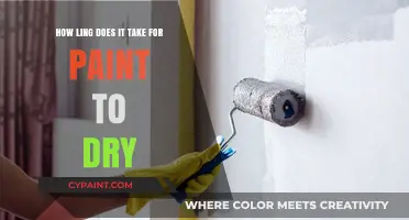 Paint Drying Time: How Long Does it Take?