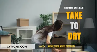 Understanding Paint Drying Time: Factors, Tips, and Quick-Dry Solutions