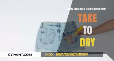 Tulip Fabric Paint: Drying Time and Care Tips