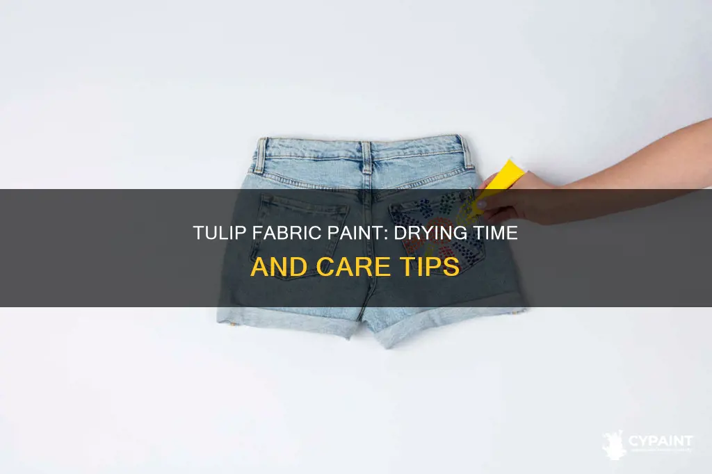 how ling does tulip fabric paint take to dry