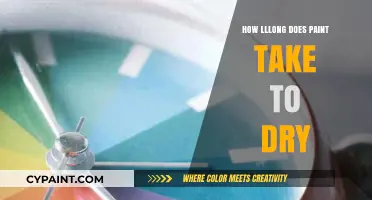 How Long Does Paint Take to Dry: A Comprehensive Guide