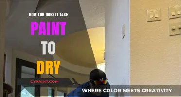 How Long Does Paint Dry? Factors Affecting Drying Time Explained