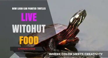 Survival Tactics: How Long Can Painted Turtles Live Without Food?