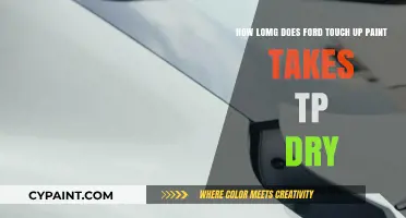 Ford Touch-Up Paint Drying Time: Quick Guide for Perfect Results