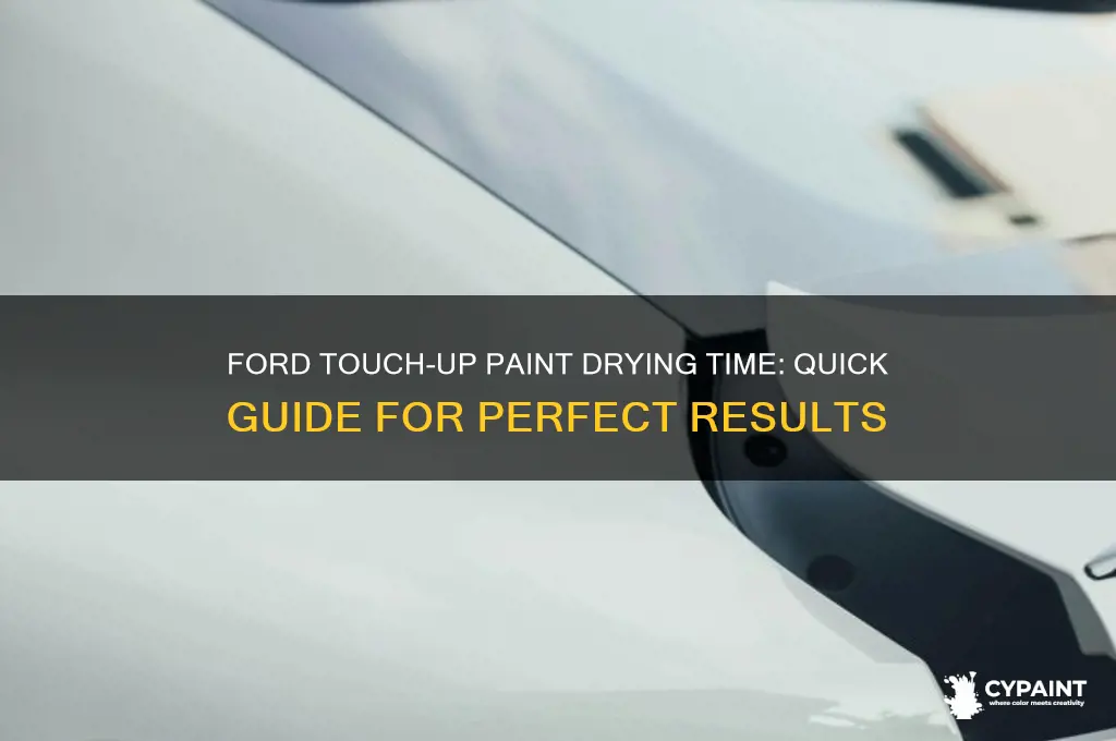 how lomg does ford touch up paint takes tp dry