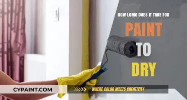 Paint Drying Time: How Long Does it Take?