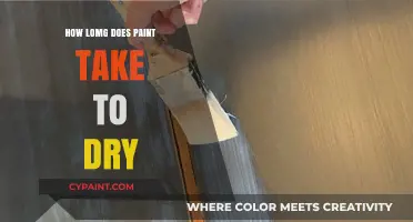 Understanding Paint Drying Times: Factors Affecting Speed and Efficiency