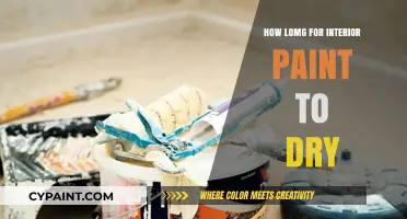 Interior Paint Drying Time: Factors Affecting Speed and Tips for Faster Results