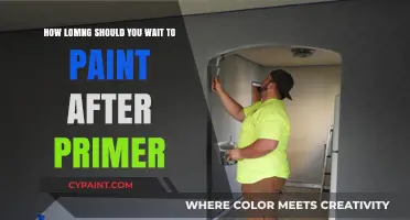Primer Patience: How Long Before Painting?