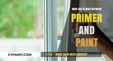 Perfect Timing: How Long to Wait Between Primer and Paint