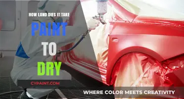 How Long Does Paint Take to Dry? Factors Affecting Drying Time