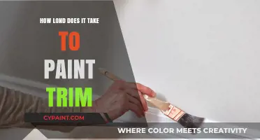 Painting Trim: Timeframe and Tips for a Flawless Finish