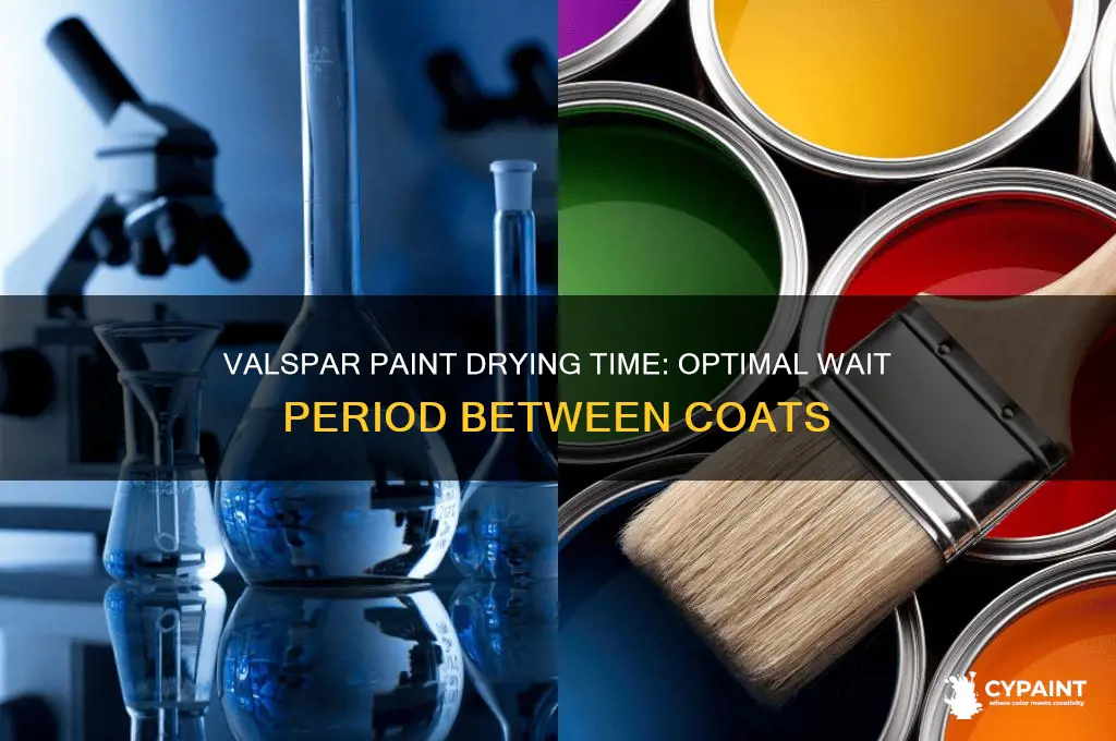 how lond should you let valspar paint dry between coats