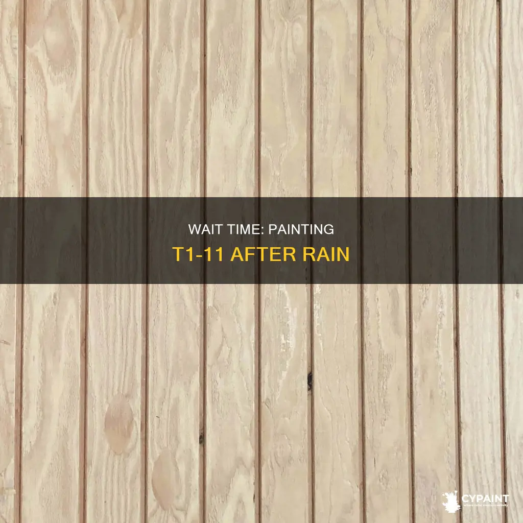 how lonmg after rain can i paint t1 11