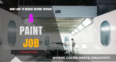 Wait Time Between Paint Coats: Topcoat Timing
