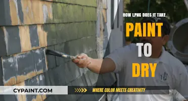 Understanding Paint Drying Time: Factors Affecting the Process and Results