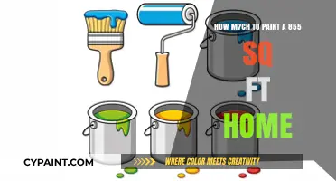 Painting a Home: Costing 855 Sq Ft